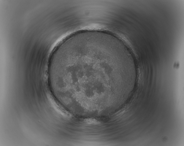 X0000113600392200910021746