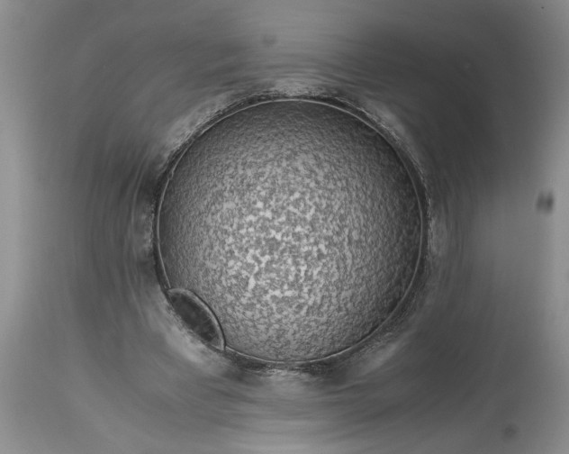 X0000113600393200910021746