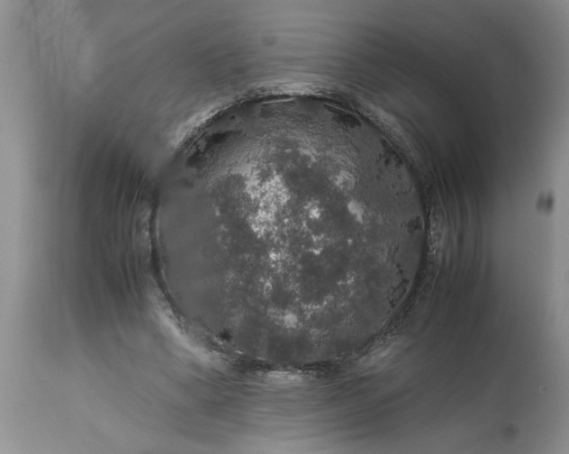 X0000113600394200910021746