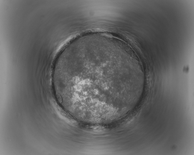 X0000113600395200910021746