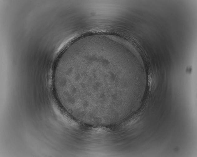 X0000113600396200910021746