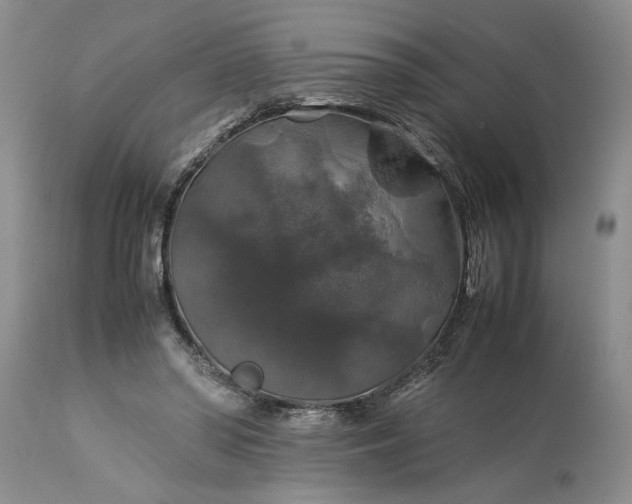 X0000113600398200910021746