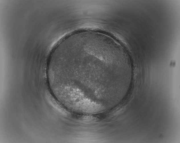 X0000113600399200910021746