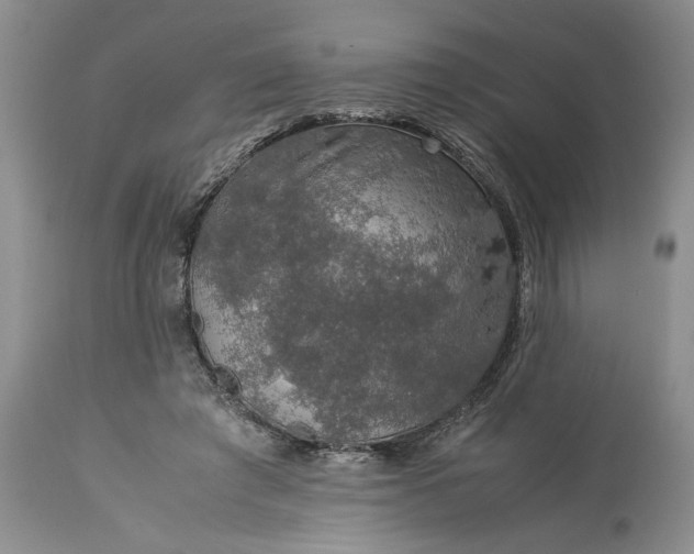 X0000113600401200910021746