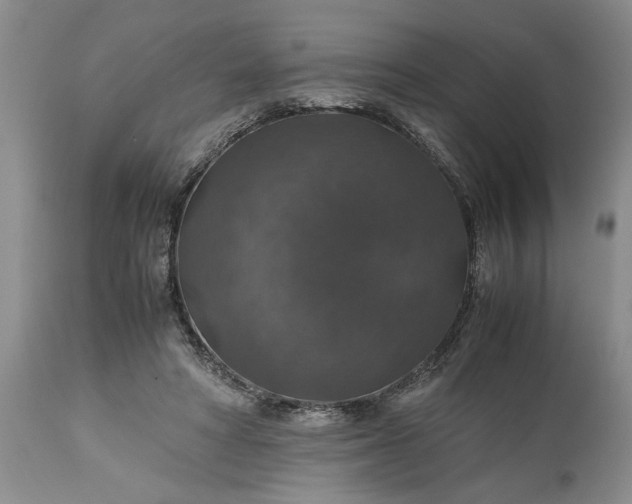 X0000113600402200910021746