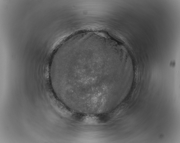 X0000113600403200910021746