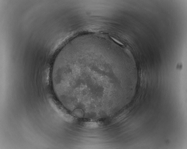 X0000113600404200910021746