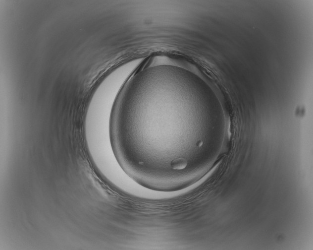 X0000113600405200910021746