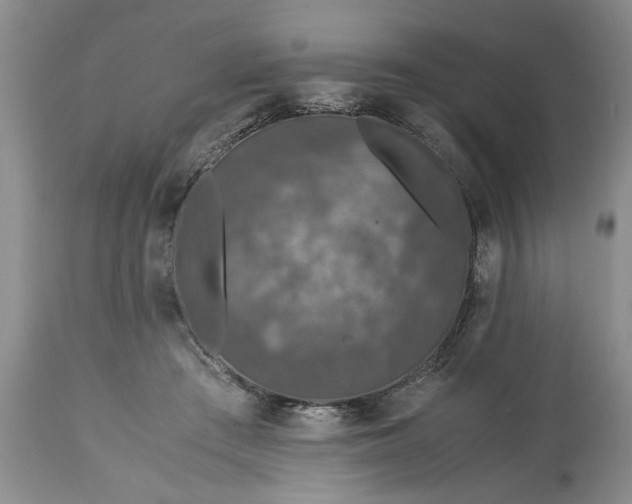 X0000113600409200910021745