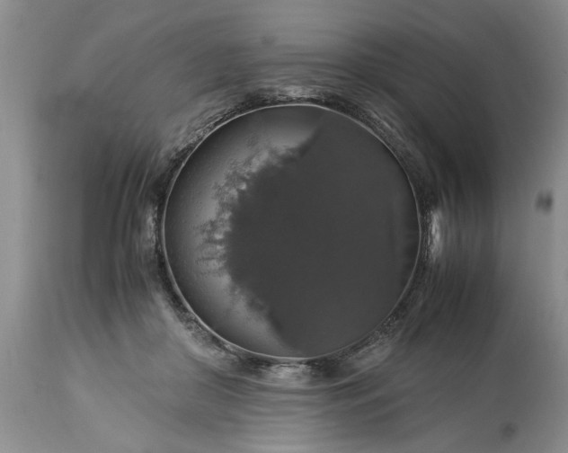 X0000113600410200910021745