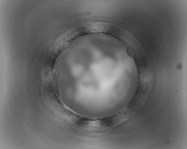 X0000113600411200910021745