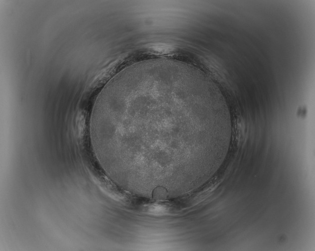 X0000113600412200910021745