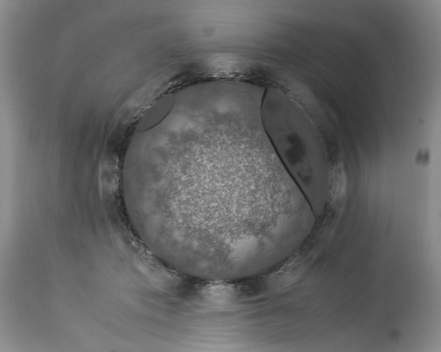 X0000113600413200910021745