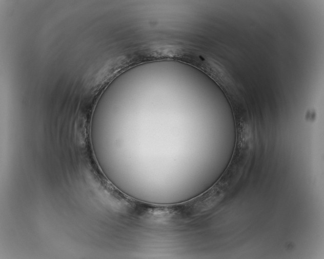 X0000113600414200910021745