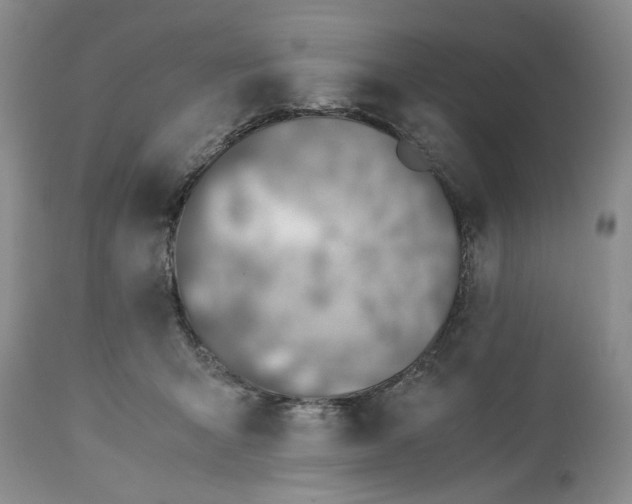 X0000113600415200910021745