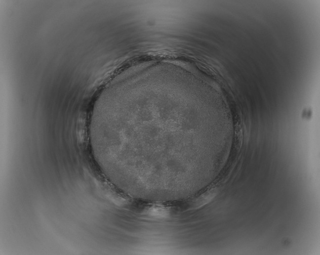 X0000113600416200910021745