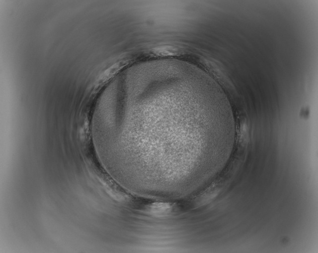 X0000113600418200910021745