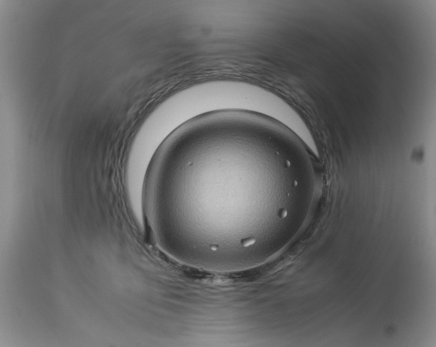 X0000113600419200910021745