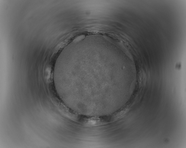 X0000113600420200910021745