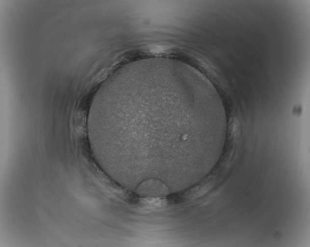 X0000113600421200910021745