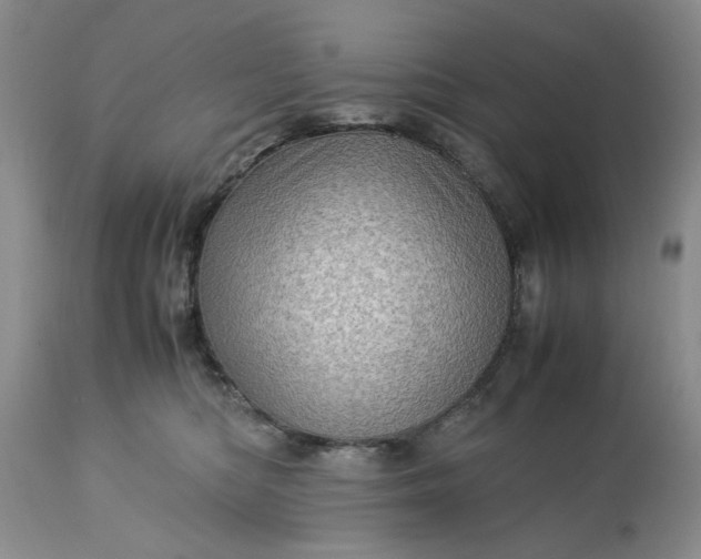 X0000113600422200910021745