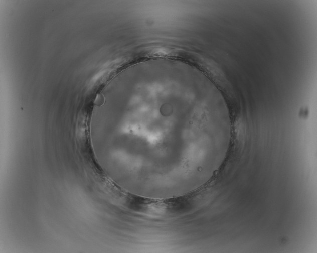 X0000113600423200910021745