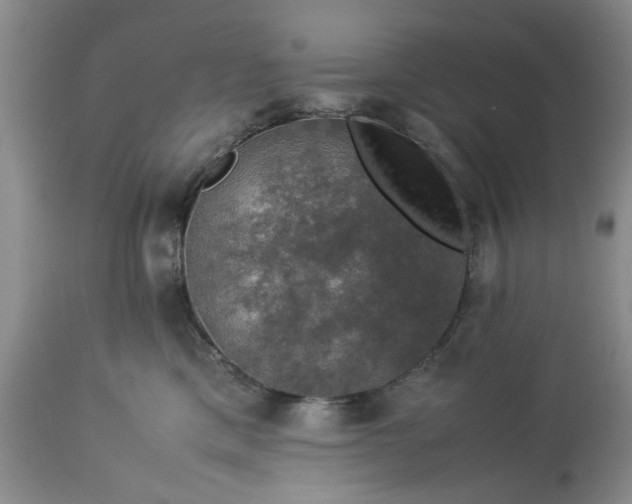 X0000113600425200910021745