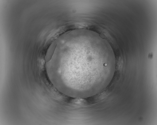 X0000113600427200910021745