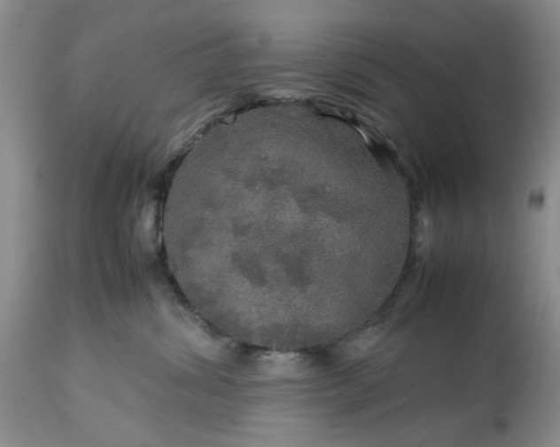 X0000113600428200910021745