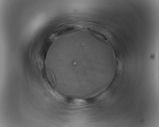 X0000113600429200910021745