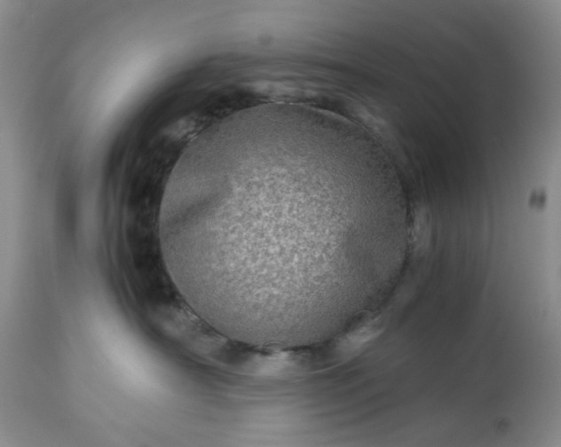 X0000113600430200910021745