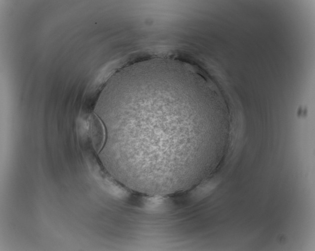 X0000113600432200910021745