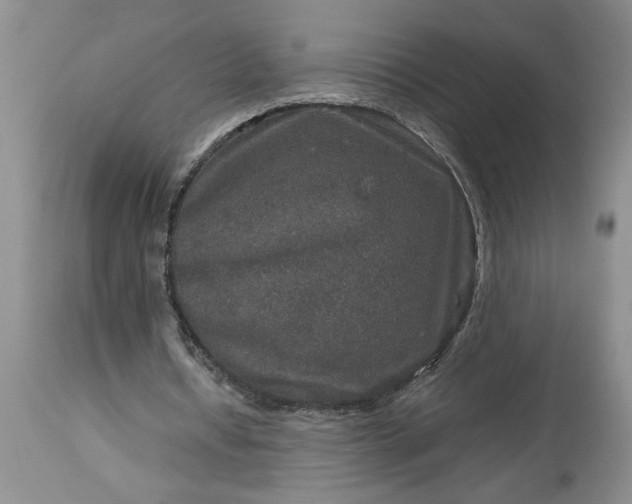 X0000113600434200910021744