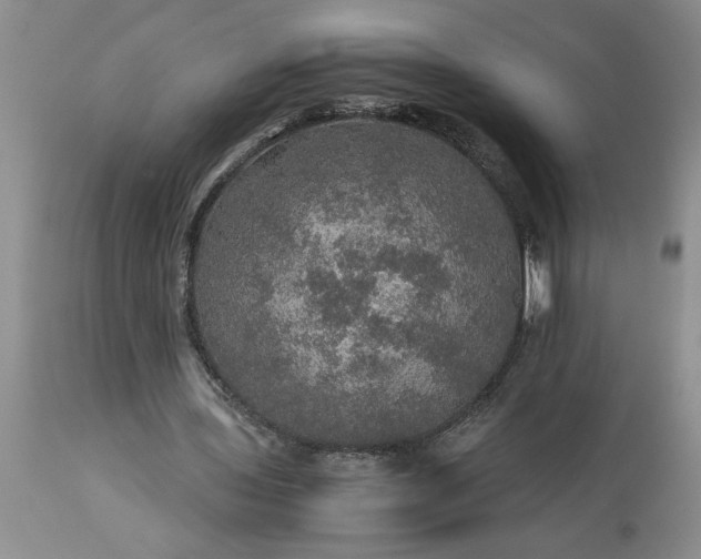 X0000113600435200910021744