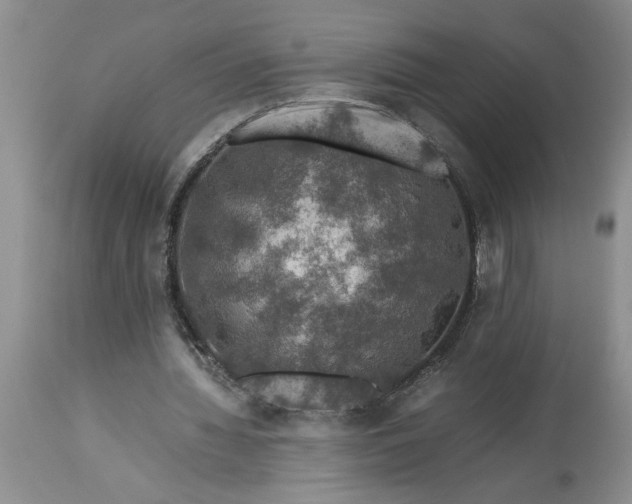 X0000113600436200910021744