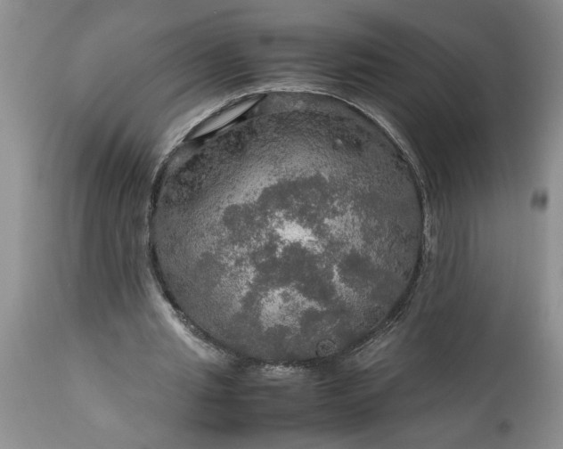 X0000113600437200910021744