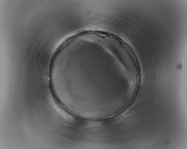 X0000113600438200910021744