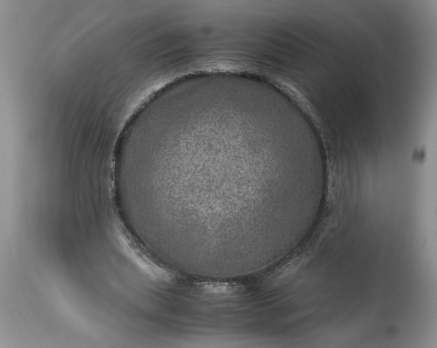 X0000113600439200910021744