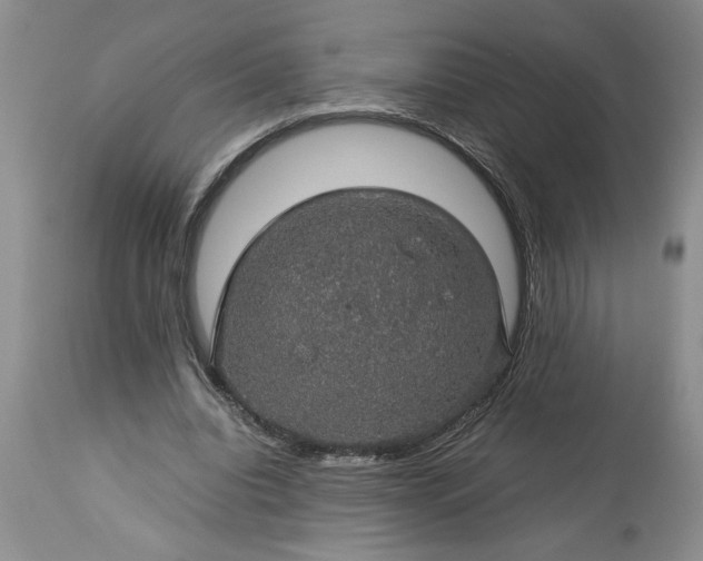 X0000113600440200910021744