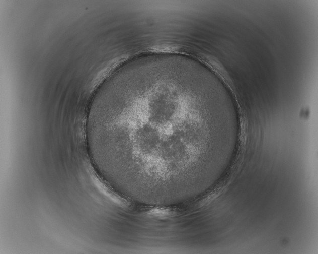 X0000113600441200910021744