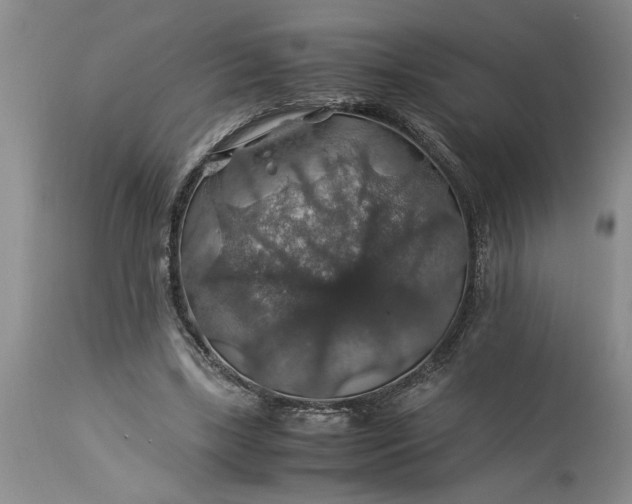 X0000113600443200910021744