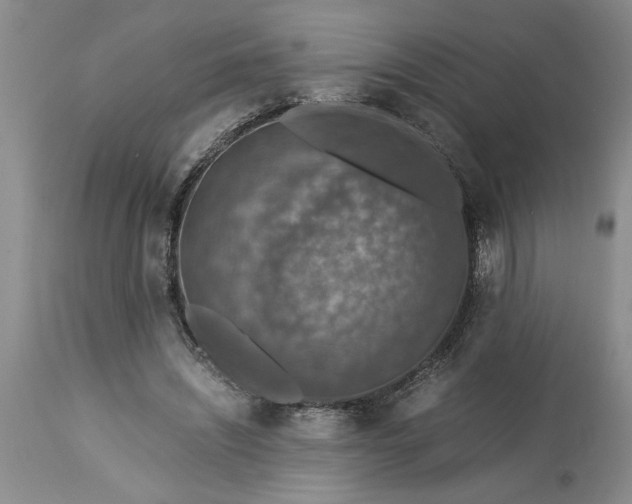 X0000113600444200910021744