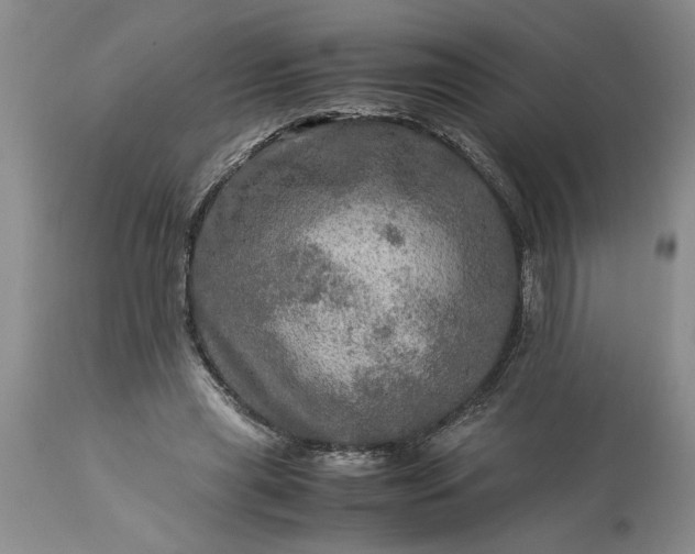 X0000113600445200910021745