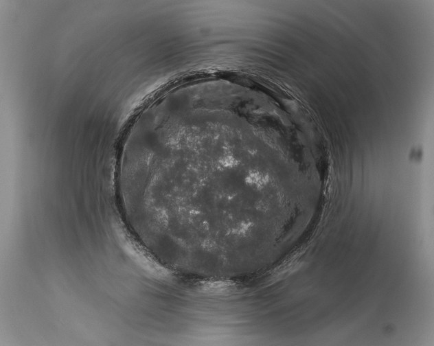 X0000113600446200910021745