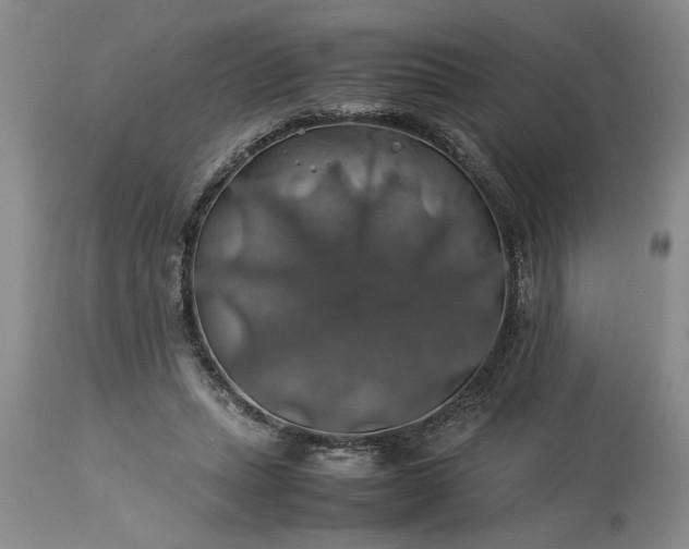 X0000113600447200910021745