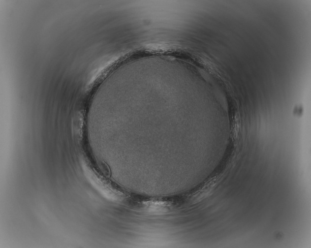 X0000113600448200910021745