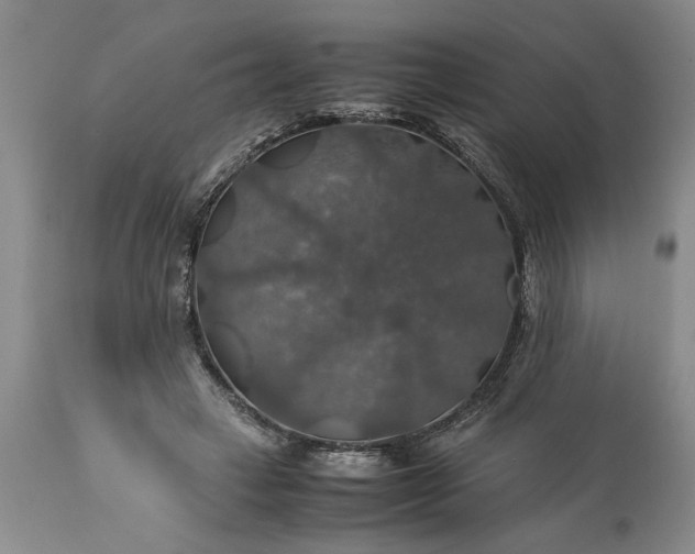 X0000113600449200910021745