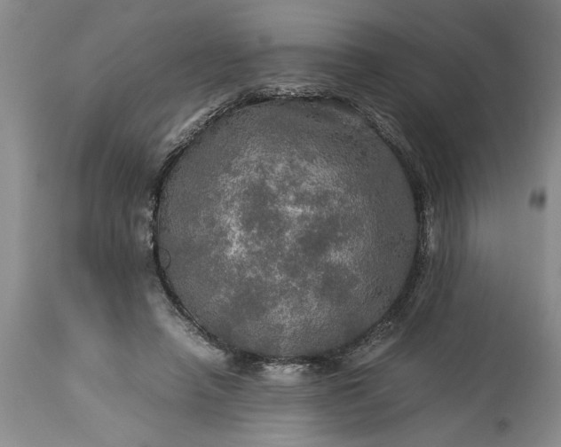 X0000113600450200910021745