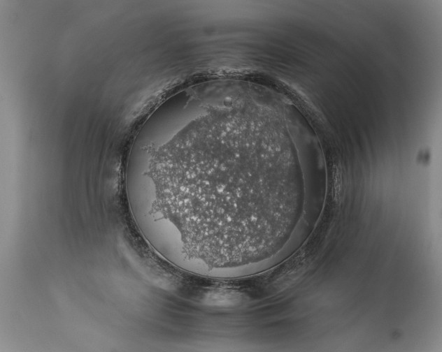 X0000113600451200910021745