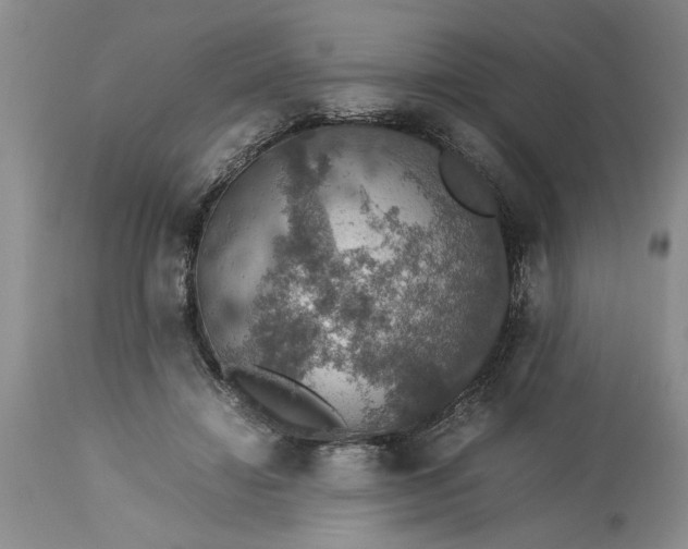 X0000113600452200910021745